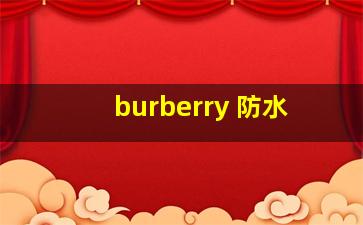 burberry 防水